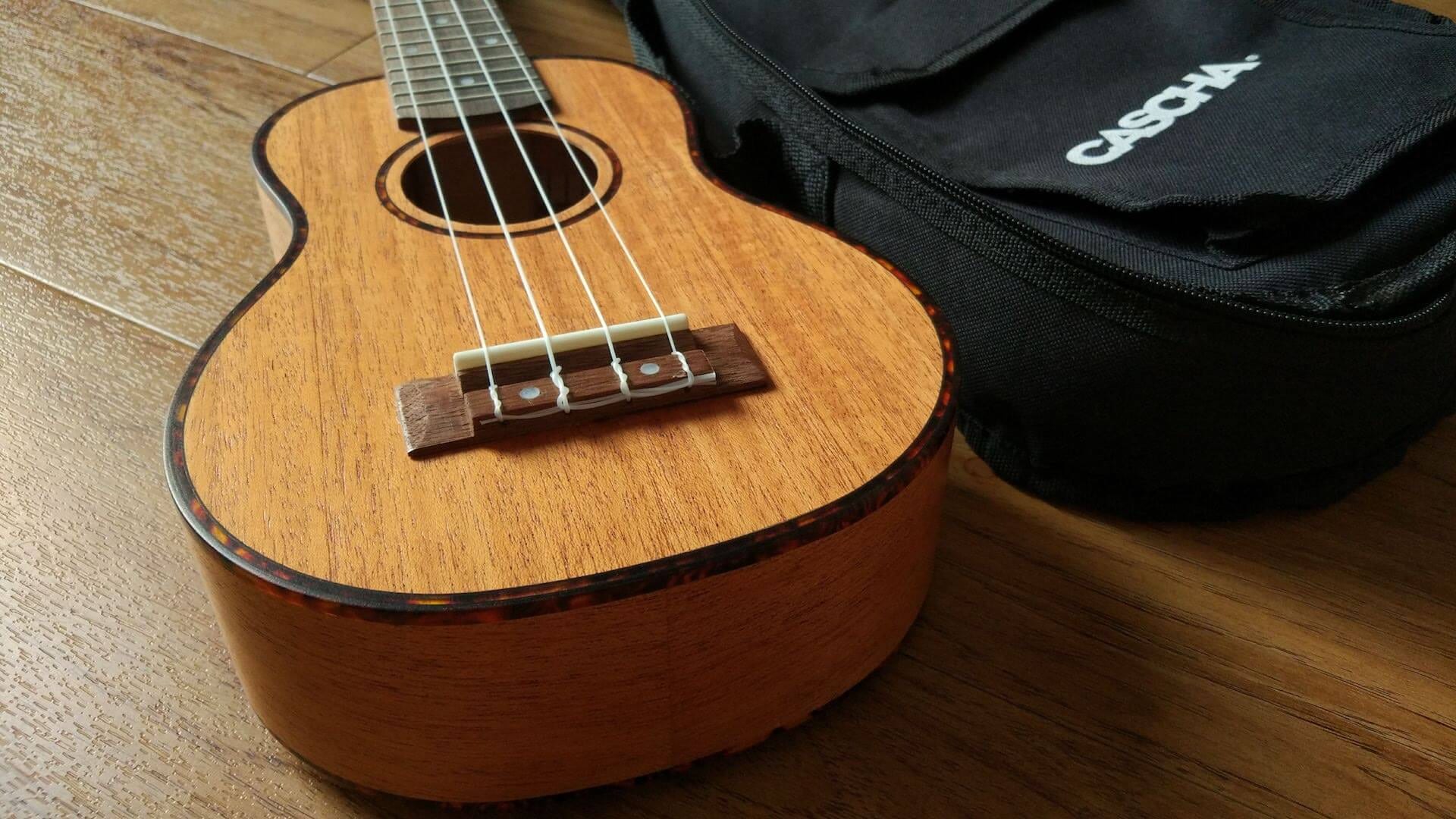 Illustration: CASCHA HH 2027 Premium Ukulele