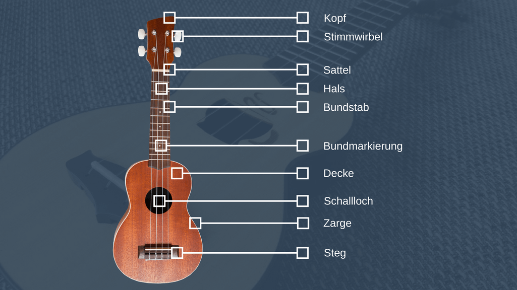 Ukulele kaufen alle Infos, Checklisten und Kauftipps